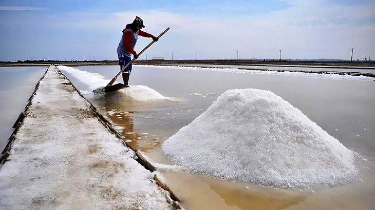 লবণ উৎপাদনে ভাঙল ৬২ বছরের রেকর্ড 