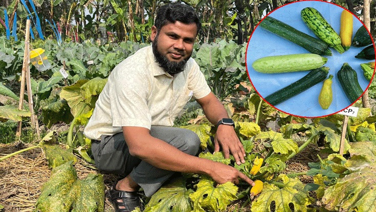 ইউরোপীয় রঙিন সবজির সম্ভাবনা, উদ্ভাবনে কাজ করছে বাকৃবি