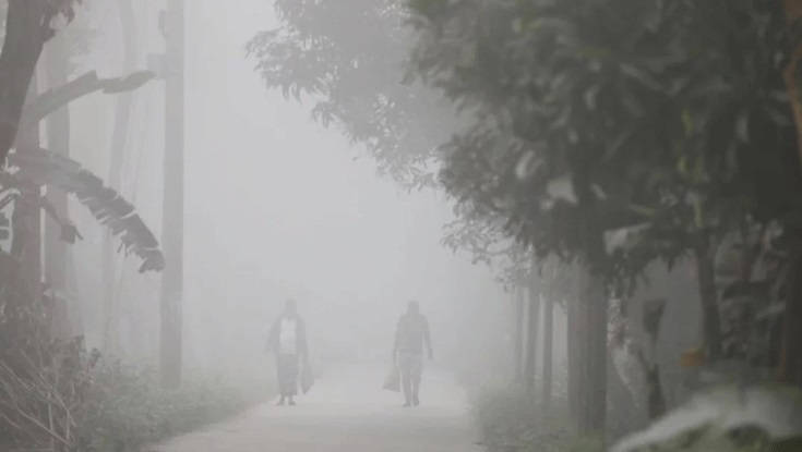 হেমন্তের বিদায়ের সুর দরজার উঁকি দিচ্ছে শীত