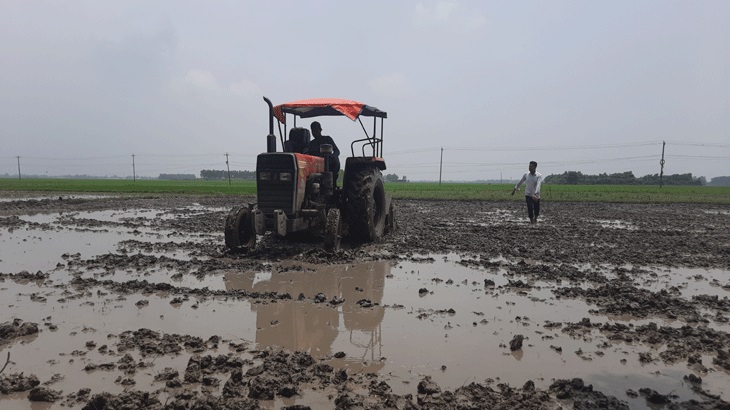 টানা বৃষ্টিতে স্বস্তি কৃষকের, ব্যস্ত সময় বীজতলা তৈরিতে