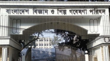 বিসিএসআইআর চেয়ারম্যান হলেন সামিনা আহমেদ