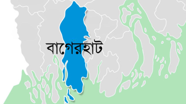 ভাইয়ের ইটের আঘাতে তরুণের মৃত্যু