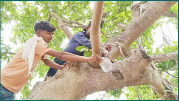 তাপদাহে পশু-পাখিদের তরে শিক্ষার্থীরা