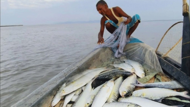 সমুদ্রে মাছ ধরায় ৫৮ দিনের নিষেধাজ্ঞা