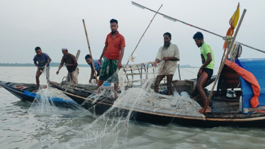 ইলিশ ধরা-কেনাবেচায় ২২ দিনের নিষেধাজ্ঞা শুরু