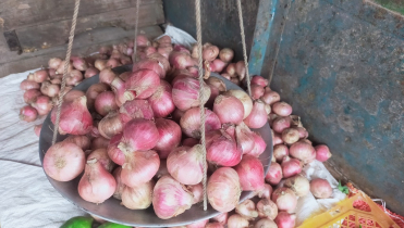 দিনাজপুরে পেঁয়াজের কেজি ৫০ টাকা 