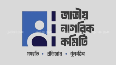 বৈষম্যবিরোধী ছাত্রদের দলের নাম এখনো ঠিক হয়নি: নাগরিক কমিটি