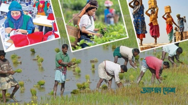 মহান মে দিবস: শ্রমজীবী মানুষের অধিকার আদায়ের দিন আজ 