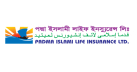 শেয়ারদর বৃদ্ধির কারণ জানে না পদ্মা ইসলামী লাইফ ইন্স্যুরেন্স