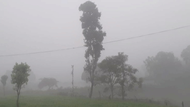 হেমন্তেই শীতে কাঁপছে পঞ্চগড়