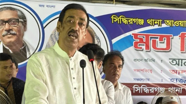 ভিসা নিয়ে যা বললেন শামীম ওসমান