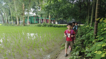 রাস্তা নেই বিদ্যালয়ের, ভোগান্তিতে শিক্ষার্থীরা