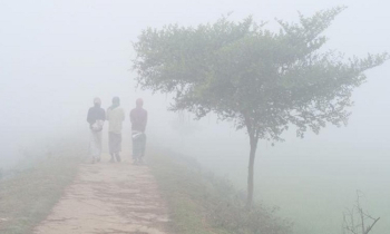 দেশের তাপমাত্রা নামতে পারে ৪ ডিগ্রিতে