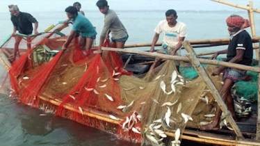 পদ্মা-মেঘনায় ২২ দিন মাছ ধরায় নিষেধাজ্ঞা 