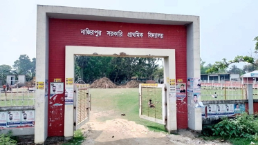 স্কুলের গাছ উধাও, মাটি পাশের খালে