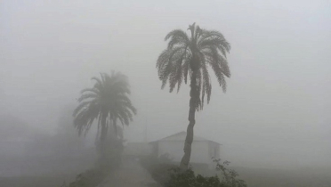 জানুয়ারিতে তাপমাত্রা নামতে পারে ৩ ডিগ্রিতে