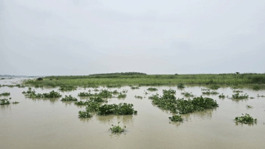 পদ্মা-যমুনার পানি স্থিতিশীল, বন্যার শঙ্কা নেই: পাউবো