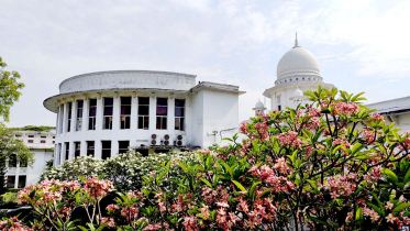 রাষ্ট্রপতি কতজনের দণ্ড মাফ করেছেন জানাতে নোটিশ