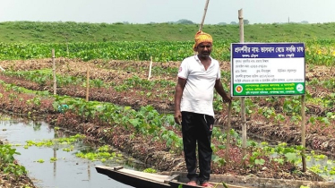 ভাসমান বেডে সমজি চাষে সফল প্রদীপ