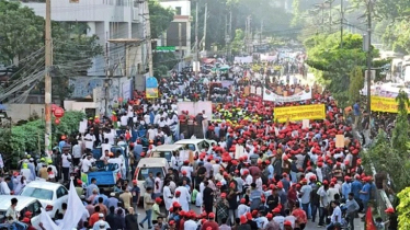 জাতীয় বিপ্লব-সংহতি দিবসে বিএনপির র‍্যালি