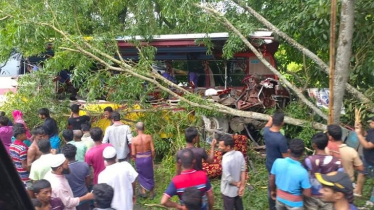 গোপালগঞ্জে বাস-ট্রাক সংঘর্ষে নিহত ৫