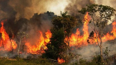 সুন্দরবনে আগুন নেভানোর কাজ রোববার শুরু