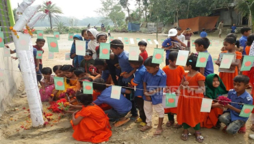 শহিদ মিনার নেই, ৩০০ শিক্ষাপ্রতিষ্ঠানের ভরসা কলাগাছ