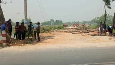 তীব্র গরমেও আড়াই হাজার গাছ কাটছে বন বিভাগ