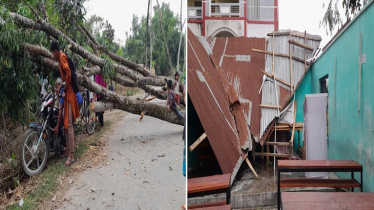 ১২ মিনিটের ঝড়ে লন্ডভন্ড ২০ গ্রাম, নিহত ৩