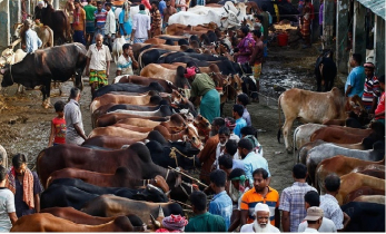 গরু হাট বদল করলে ছিনতাই মামলা