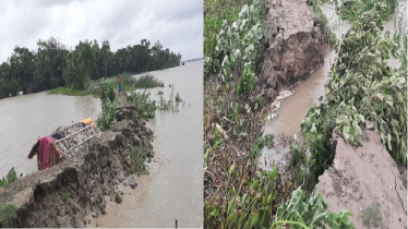 বরগুনায় বেড়িবাঁধ ভেঙে ৫ গ্রাম প্লাবিত