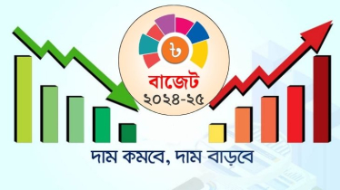 বাজেটে যেসব পণ্যের দাম বাড়বে-কমবে