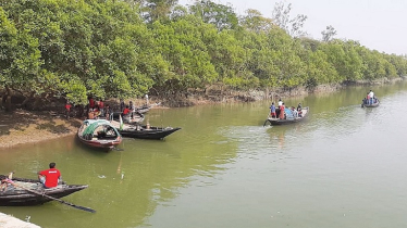 সুন্দরবন প্রবেশে তিন মাসের নিষেধাজ্ঞা