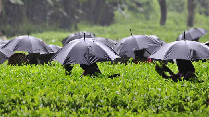 দেশের দুই জেলায় ঝড়-বৃষ্টির শঙ্কা