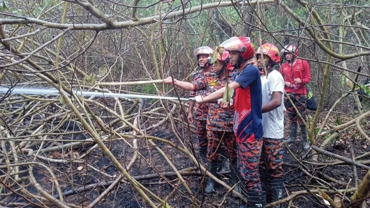 সুন্দরবনের আগুন নিয়ন্ত্রণে: ৩ সদস্যের তদন্ত কমিটি গঠন