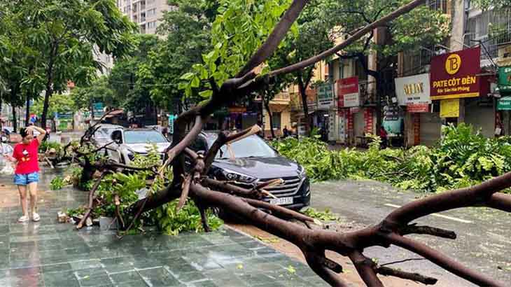 ভিয়েতনামে বন্যা-ভূমিধসে ১৯৭ জনের মৃত্যু