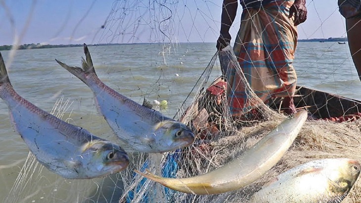 মাঝরাত থেকে ২২ দিন ইলিশ ধরা নিষিদ্ধ 