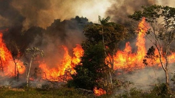 রাতভর পোড়া সুন্দরবনে কাজ শুরু করল ফায়ার সার্ভিস