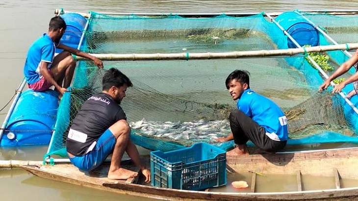 গোপালগঞ্জে খাঁচায় মাছ চাষে ভাগ্য বদলের হাতছানি