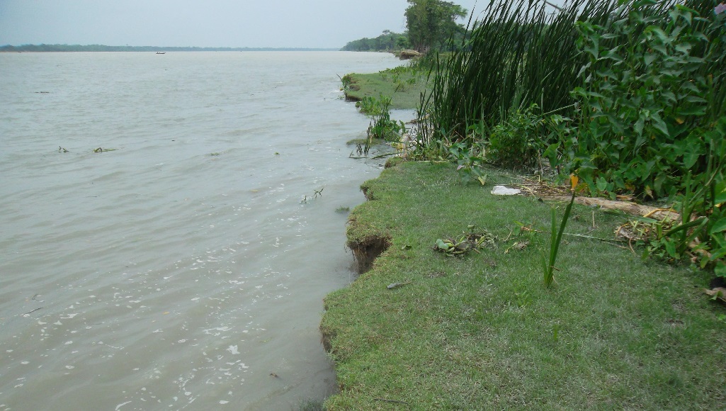 ‘প্রতিশ্রুতি নয়, বাস্তবায়ন চাই’