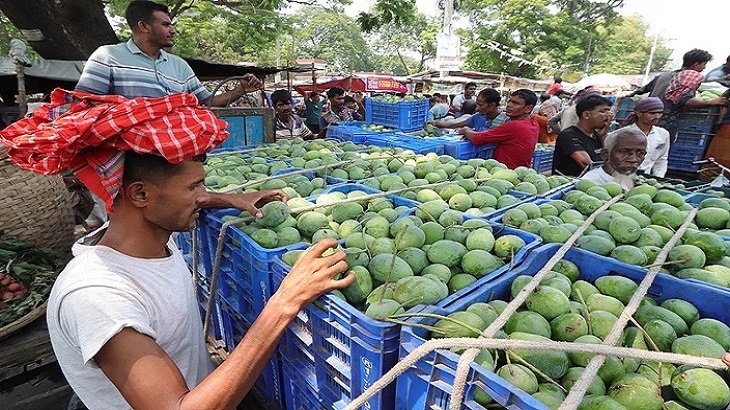 রাজশাহীর আমের হাট জমে উঠেছে