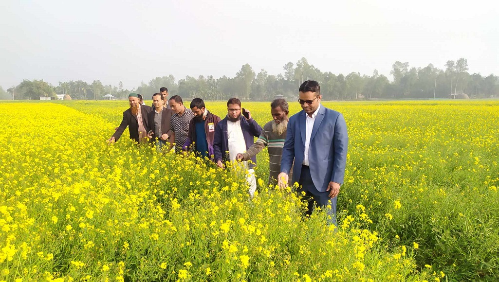 সরিষার হলুদ ফুলে কৃষকের মুখে হাসি