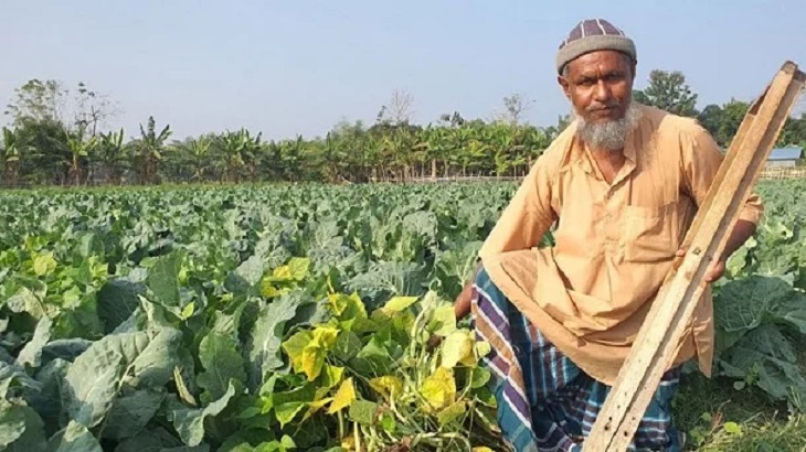 পাহাড়ে সবজি চাষে সফল প্রতিবন্ধী শফিউল   