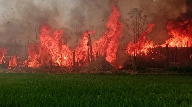 কুষ্টিয়ায় পান বরজের আগুন ছড়িয়েছে ২ কি.মি