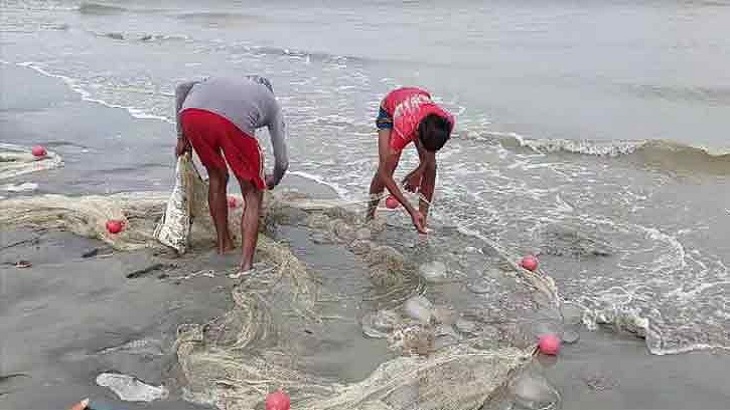 কুয়াকাটা সৈকত মৃত জেলিফিশে ছেয়ে গেছে 