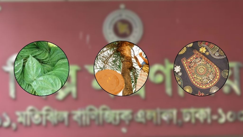 জিআই স্বীকৃতি পেল আরও তিন পণ্য