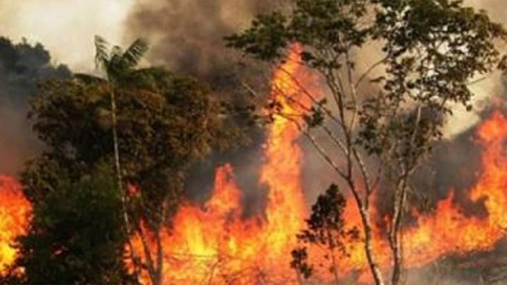 সুন্দরবনে ভয়াবহ আগুন