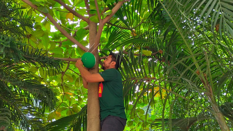 পাখিদের জন্য গাছে মাটির হাঁড়ি বসাচ্ছেন শিক্ষার্থী